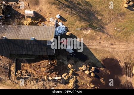 Drohnenfotografie eines Traktors, der im Frühling Heuballen mit Nutztieren in den Schuppen bringt. Stockfoto