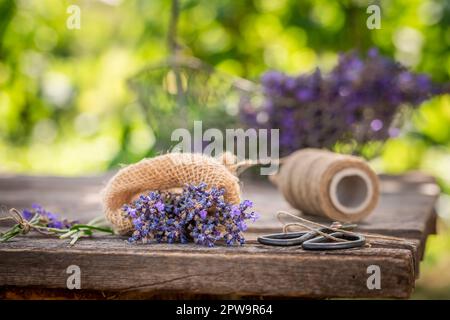 Aromatischer und hausgemachter Lavendel vor dem Trocknen im Garten. Ein Garten voller Blumen. Stockfoto