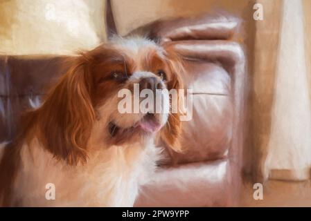 Digitale Malerei eines Nahaufnahmen-Profils eines einzelnen isolierten Blenheim Cavalier King Charles Spaniel in einem Wohnbereich. Stockfoto