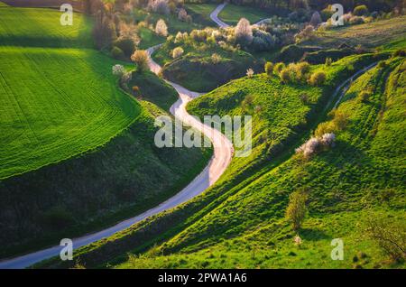 Wunderschöne grüne Frühlingslandschaft in der polnischen Landschaft. Gewundene Straße zwischen grünem Gras und blühenden Bäumen. Stockfoto