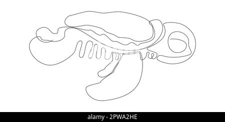 Eine durchgehende Linie Turtle. Stock Vektor