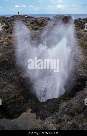 Kiama Blowhole ist der größte der Welt. Kiama, New South Wales, Australien Stockfoto