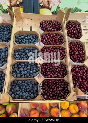 Frisches Obst liegt in Kartons in Kartons auf der Theke auf dem Markt Stockfoto