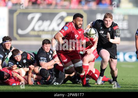Llanelli, Großbritannien. 29. April 2023. Johnny Matthews von Glasgow Warriors macht eine Pause. Rugby im European Challenge Cup, Halbfinalspiel, Scarlets gegen Glasgow Warriors im Parc y Scarlets in Llanelli, Wales, am Samstag, den 29. April 2023. Bild von Andrew Orchard/Andrew Orchard Sportfotografie/Alamy Live News Kredit: Andrew Orchard Sportfotografie/Alamy Live News Stockfoto