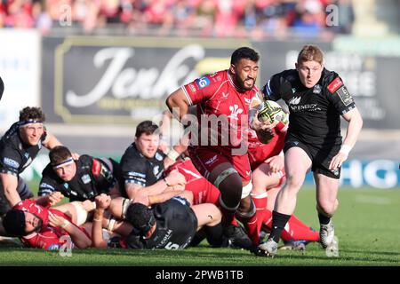 Llanelli, Großbritannien. 29. April 2023. Johnny Matthews von Glasgow Warriors macht eine Pause. Rugby im European Challenge Cup, Halbfinalspiel, Scarlets gegen Glasgow Warriors im Parc y Scarlets in Llanelli, Wales, am Samstag, den 29. April 2023. Bild von Andrew Orchard/Andrew Orchard Sportfotografie/Alamy Live News Kredit: Andrew Orchard Sportfotografie/Alamy Live News Stockfoto
