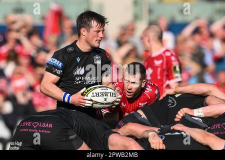 George Horne von Glasgow Warriors bereitet sich darauf vor, den Scrum während des Halbfinalspiels des European Challenge Cup Llanelli Scarlets vs Glasgow Warriors im Parc y Scarlets, Llanelli, Vereinigtes Königreich, am 29. April 2023 (Foto von Craig Thomas/News Images) in, am 4./29. April 2023, zu füttern. (Foto: Craig Thomas/News Images/Sipa USA) Guthaben: SIPA USA/Alamy Live News Stockfoto