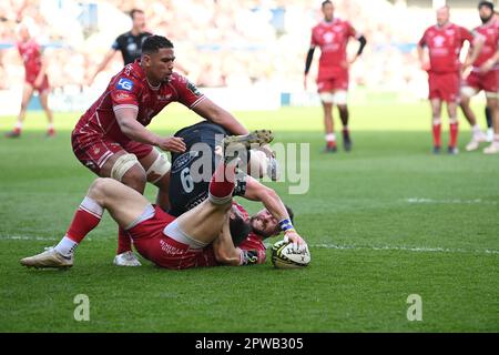 Llanelli, Großbritannien. 29. April 2023. George Horne von Glasgow Warriors wird vom 4. April 2023 (Foto von Craig Thomas/News Images) im Parc y Scarlets, Vereinigtes Königreich, am 29. 29. April 2023 in Llanelli, Vereinigtes Königreich, beim Halbfinalspiel des European Challenge Cup, Llanelli Scarlets vs Glasgow Warriors, angegriffen. (Foto: Craig Thomas/News Images/Sipa USA) Guthaben: SIPA USA/Alamy Live News Stockfoto