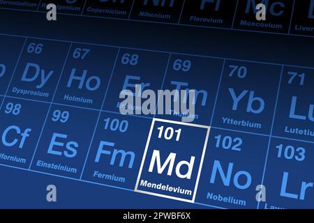 Mendelevium auf Periodensystem der Elemente, mit Elementsymbol MD Stock Vektor
