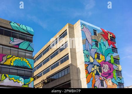 Southampton, Großbritannien. 29. April 2023. Ein „sauberes“ Wandgemälde wird auf ein Gebäude gemalt, um die Verschmutzung in der Stadt zu bekämpfen. Nelson Gate wird in die Glühbirne verwandelt. Das riesige, kohlenstofffressende Wandgemälde ist das größte öffentliche Wandgemälde Großbritanniens und wurde von dem französischen Straßenkünstler Nerone mit Graphenstone C02 Absorptionsfarbe geschaffen. Stockfoto