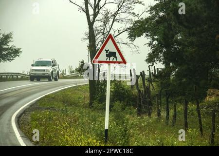 Weißer Geländewagen, der die Ecke der Landstraße im Nebel umrundet, mit Kuhwarnschild im Vordergrund - Osteuropa Stockfoto