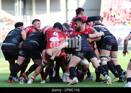 Llanelli, Großbritannien. 29. April 2023. Josh Macleod of Scarlets (6) hat seine Shorts heruntergezogen. Rugby im European Challenge Cup, Halbfinalspiel, Scarlets gegen Glasgow Warriors im Parc y Scarlets in Llanelli, Wales, am Samstag, den 29. April 2023. Bild von Andrew Orchard/Andrew Orchard Sportfotografie/Alamy Live News Kredit: Andrew Orchard Sportfotografie/Alamy Live News Stockfoto