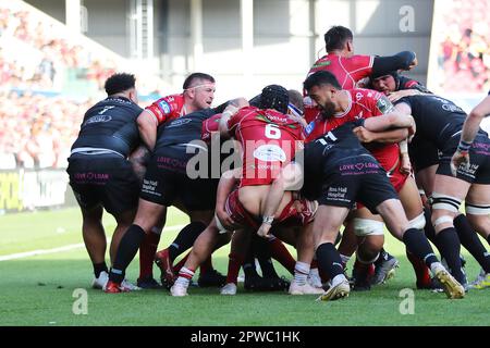 Llanelli, Großbritannien. 29. April 2023. Josh Macleod of Scarlets (6) hat seine Shorts heruntergezogen. Rugby im European Challenge Cup, Halbfinalspiel, Scarlets gegen Glasgow Warriors im Parc y Scarlets in Llanelli, Wales, am Samstag, den 29. April 2023. Bild von Andrew Orchard/Andrew Orchard Sportfotografie/Alamy Live News Kredit: Andrew Orchard Sportfotografie/Alamy Live News Stockfoto