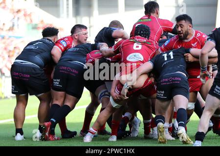 Llanelli, Großbritannien. 29. April 2023. Josh Macleod of Scarlets (6) hat seine Shorts heruntergezogen. Rugby im European Challenge Cup, Halbfinalspiel, Scarlets gegen Glasgow Warriors im Parc y Scarlets in Llanelli, Wales, am Samstag, den 29. April 2023. Bild von Andrew Orchard/Andrew Orchard Sportfotografie/Alamy Live News Kredit: Andrew Orchard Sportfotografie/Alamy Live News Stockfoto