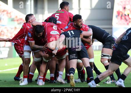 Llanelli, Großbritannien. 29. April 2023. Josh Macleod of Scarlets (6) hat seine Shorts heruntergezogen. Rugby im European Challenge Cup, Halbfinalspiel, Scarlets gegen Glasgow Warriors im Parc y Scarlets in Llanelli, Wales, am Samstag, den 29. April 2023. Bild von Andrew Orchard/Andrew Orchard Sportfotografie/Alamy Live News Kredit: Andrew Orchard Sportfotografie/Alamy Live News Stockfoto