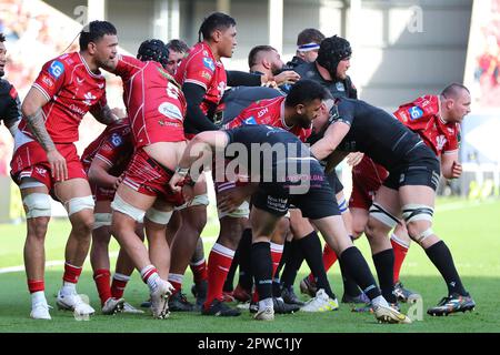 Llanelli, Großbritannien. 29. April 2023. Josh Macleod of Scarlets (6) hat seine Shorts heruntergezogen. Rugby im European Challenge Cup, Halbfinalspiel, Scarlets gegen Glasgow Warriors im Parc y Scarlets in Llanelli, Wales, am Samstag, den 29. April 2023. Bild von Andrew Orchard/Andrew Orchard Sportfotografie/Alamy Live News Kredit: Andrew Orchard Sportfotografie/Alamy Live News Stockfoto