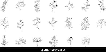 Schwarz-Weiß-Illustration Ginkgo biloba, Ginko, Eukalyptus, Ahorn, Eiche, Kräuter. Vektor lässt Verzweigungen auf transparentem Hintergrund isoliert. Dekorative Vintage-Elemente für die Dekorationskollektion Stock Vektor