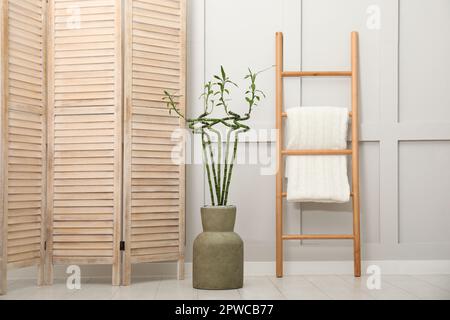 Vase mit grünen Bambusstämmen, Klappschirm und Leiter auf dem Boden im Zimmer. Innendesign Stockfoto