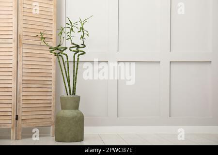 Vase mit grünen Bambusstielen und Faltschirm auf dem Boden im Zimmer. Innendesign Stockfoto