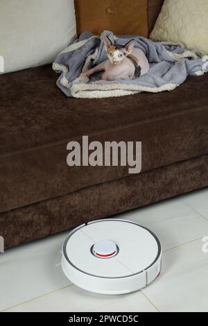 Roboter-Staubsauger und süße Sphynx-Katze, die sich drinnen auf dem Sofa entspannen Stockfoto