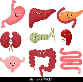 Sammlung süßer menschlicher Cartoon-Organe. Gastrointestinaltrakt. Vektordesign mit flachen Zeichentrickfiguren. Anatomiekonzept. Lustige Figuren org Stock Vektor