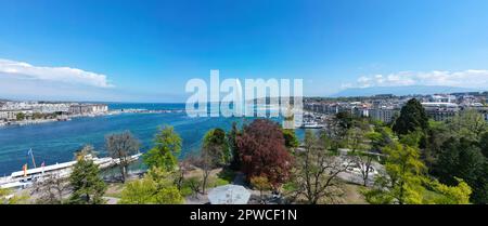 Wunderschöner Leman-See in Genf von oben an einem sonnigen Tag Stockfoto