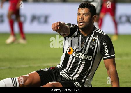 Belo Horizonte, Brasilien. 29. April 2023. MG - BELO HORIZONTE - 04/29/2023 - BRASILEIRO A 2023, ATLETICO-MG X ATHLETICO-PR - Hulk-Spieler von Atletico-MG während eines Spiels gegen Athletico-PR im Independencia Stadion für DIE BRASILIANISCHE A 2023 Meisterschaft. Foto: Fernando Moreno/AGIF/Sipa USA Guthaben: SIPA USA/Alamy Live News Stockfoto