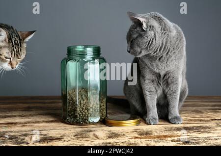 Zwei Katzen, die neugierig auf Katzenfutter im Glas sind Stockfoto