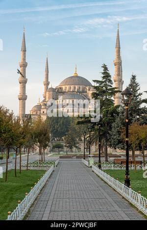 Die berühmte blaue Moschee in Istanbul in den frühen Morgenstunden Stockfoto