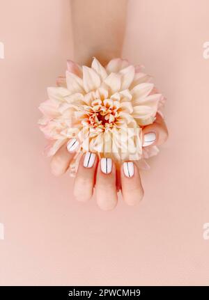Draufsicht auf Ernte unkenntlich weiblich mit blühenden Blume demonstriert stilvolle gepflegte Maniküre auf rosa Hintergrund Stockfoto