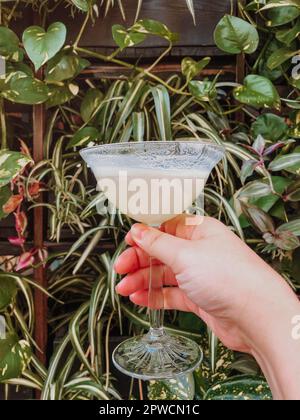 Nahaufnahme einer weiblichen Hand, die einen klassischen margarita Cocktail in martiniglas vor dem Hintergrund grüner Blätter von Pflanzen hält. Vorbereitung und Stockfoto