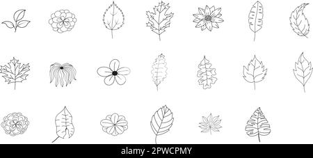 Tropische Blätter streichen Kunst. Monstera-Blattumriss, Dschungelfarne und lineare Palmenblattvektorset. Exotische Regenwaldblätter, im Sommer auf weiß isolierte Naturelemente, Botanik Stock Vektor