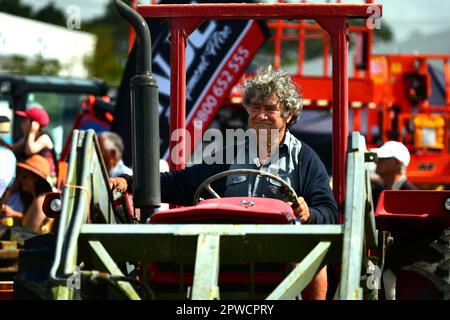 Auckland, Neuseeland - März 2023. Ein älterer Bauer, der auf einem rostigen Traktor fährt Stockfoto