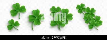 Realistische Kleeblätter auf transparentem Hintergrund isoliert. Vektordarstellung von 3D grünen vier- und drei-Blatt-Trifoils. Symbol für Glück, Chance auf Erfolg. Symbole des St. Patrick Day png Stock Vektor