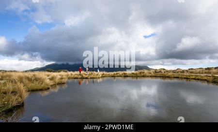 Leute wandern Pouakai Tarn. Mt Taranaki in den dicken Wolken. Taranaki. Neuseeland. Stockfoto