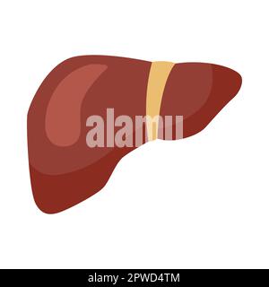 Vitamin-B12-angereicherte Leberkartoon-Illustration Stock Vektor