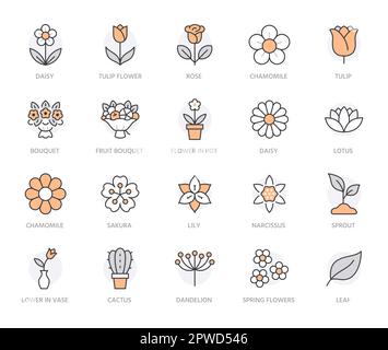 Symbol für Blumenlinie. Rose, Tulpe in Vase, Fruchtbouquet, Frühlingsblüte, Kaktus minimal Vektor Illustration einfache Umrisse Zeichen für Blumen Lieferung Stock Vektor