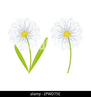 Löwenzahn, Löwenzahn-Blüten-Set-Illustrationsvektor Stock Vektor