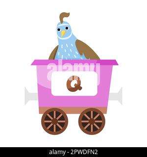 Buchstabe Q. niedliches Tier in farbenfrohem Alphabet. Vektordarstellung von Lernspielzeug für Vorschulkinder. Cartoon-Tiere, die im Transport sitzen Stock Vektor