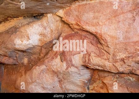 Wunambal Gaambera Uunguu Gwion Art, Jar Island, Kimberley Coast, WA, Australien Stockfoto