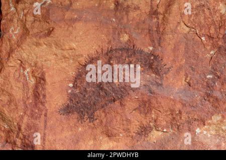 Wunambal Gaambera Uunguu Gwion Art, Jar Island, Kimberley Coast, WA, Australien Stockfoto