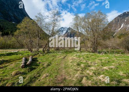 Schneebedeckter Berggipfel mit offenen Feldern im Frühling Stockfoto