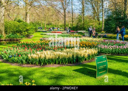 LISSE, HOLLAND - 19. APRIL 2023: Besucher genießen blühende Blumen im Keukenhof Park, einem der weltweit größten Blumengärten Stockfoto