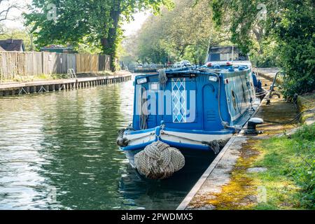 Ein Schmalschiff, das am Ufer der Themse bei Reading in Berkshire, Großbritannien, vor Anker liegt. Eine ruhige, friedliche Landschaft in Berkshire. Stockfoto