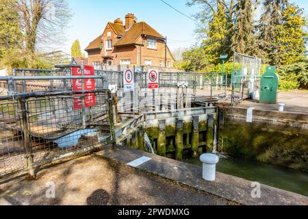 Die Tore von Caversham Lock halten Wasser auf der Themse in Reading in Berkshire, Großbritannien zurück Stockfoto