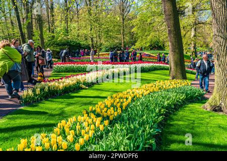 LISSE, HOLLAND - 19. APRIL 2023: Besucher genießen blühende Blumen im Keukenhof Park, einem der weltweit größten Blumengärten Stockfoto