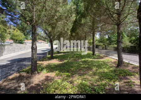 Fatima, Portugal - 15. August 2022: Ruhiger Außenbereich mit Sitzen und von Bäumen gesäumten Straßen Stockfoto