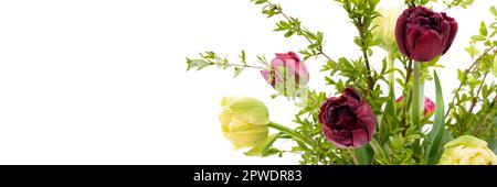 Eleganter gemischter Tulpenstrauß auf weißem Banner mit Kopierbereich. Frühlingstulpen. Tulpenstrauß. Stockfoto