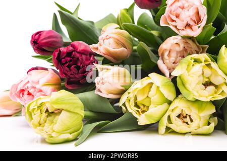 Eine Mischung aus eleganten Doppeltuppen auf weißem Hintergrund. Frühlingstulpen. Tulpenstrauß. Stockfoto