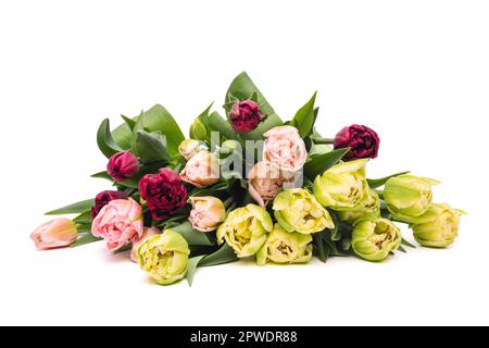 Eine Mischung aus eleganten Doppeltuppen auf weißem Hintergrund. Frühlingstulpen. Tulpenstrauß. Stockfoto