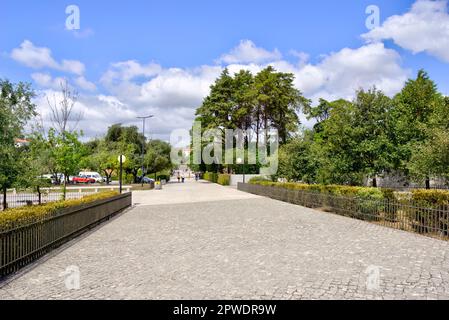 Fatima, Portugal - 15. August 2022: Zufahrtsweg mit Bäumen und Büschen rund um den kopfsteingepflasterten Pfad Stockfoto